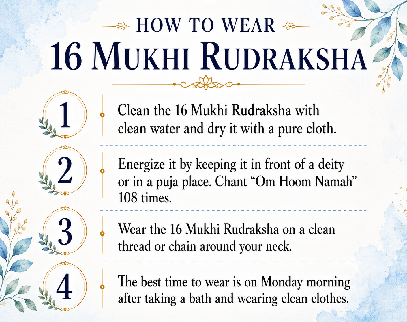 16 Mukhi Rudraksha (Nepal Origin)
